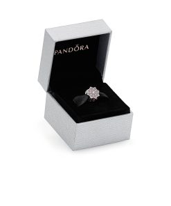 Poinsettia silver charm with red cubic zirconia and clear cubic zirconia