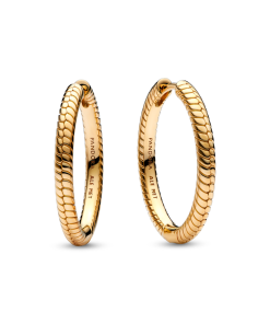 Moments Charm Hoop Earrings