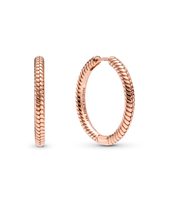 Moments Charm Hoop Earrings