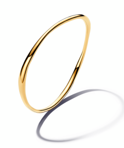 Organically Shaped Bangle